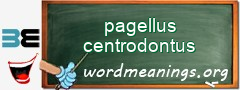 WordMeaning blackboard for pagellus centrodontus